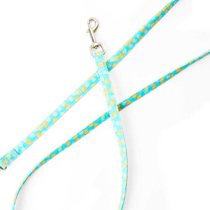 YOULY Small Dog Pineapple Dog Leash - Healthber