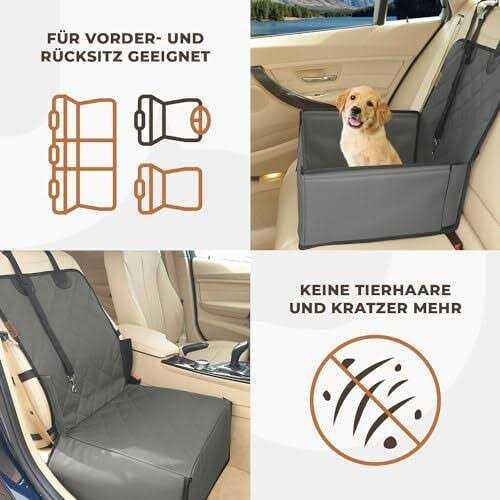 Wuglo Extra Stable Dog car Seat Robust car Dog Seat or Puppy car Seat for Small to Medium-Sized Dogs - Healthber