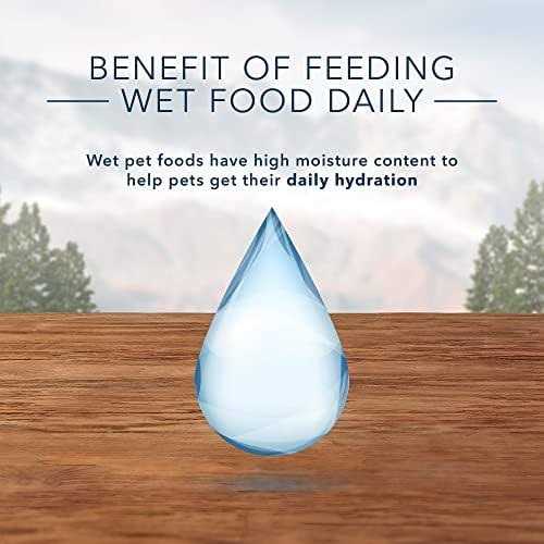 Blue Buffalo Wilderness High-Protein Grain-Free Adult Duck Recipe Canned Cat Food - Healthber