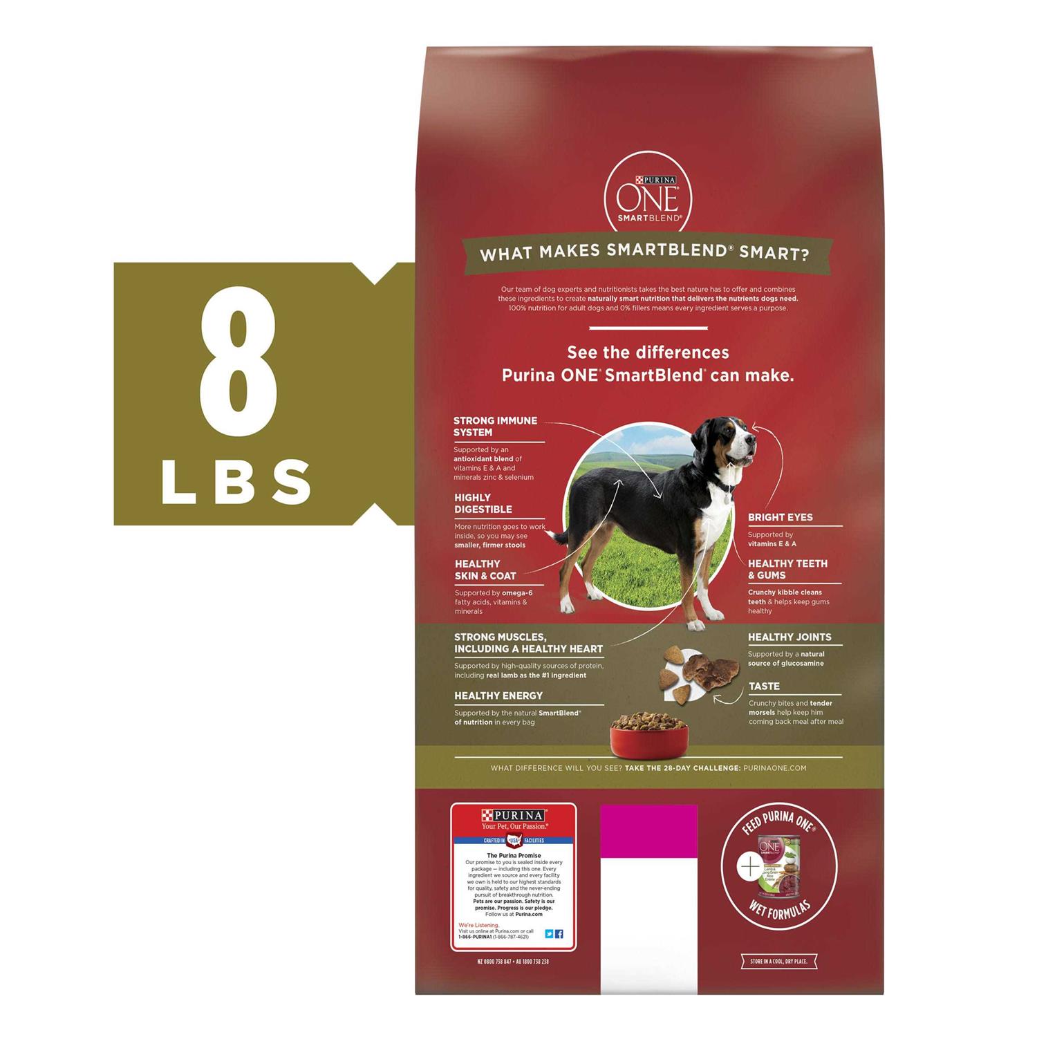 Purina ONE Dry Dog Food Rice Formula - Healthber