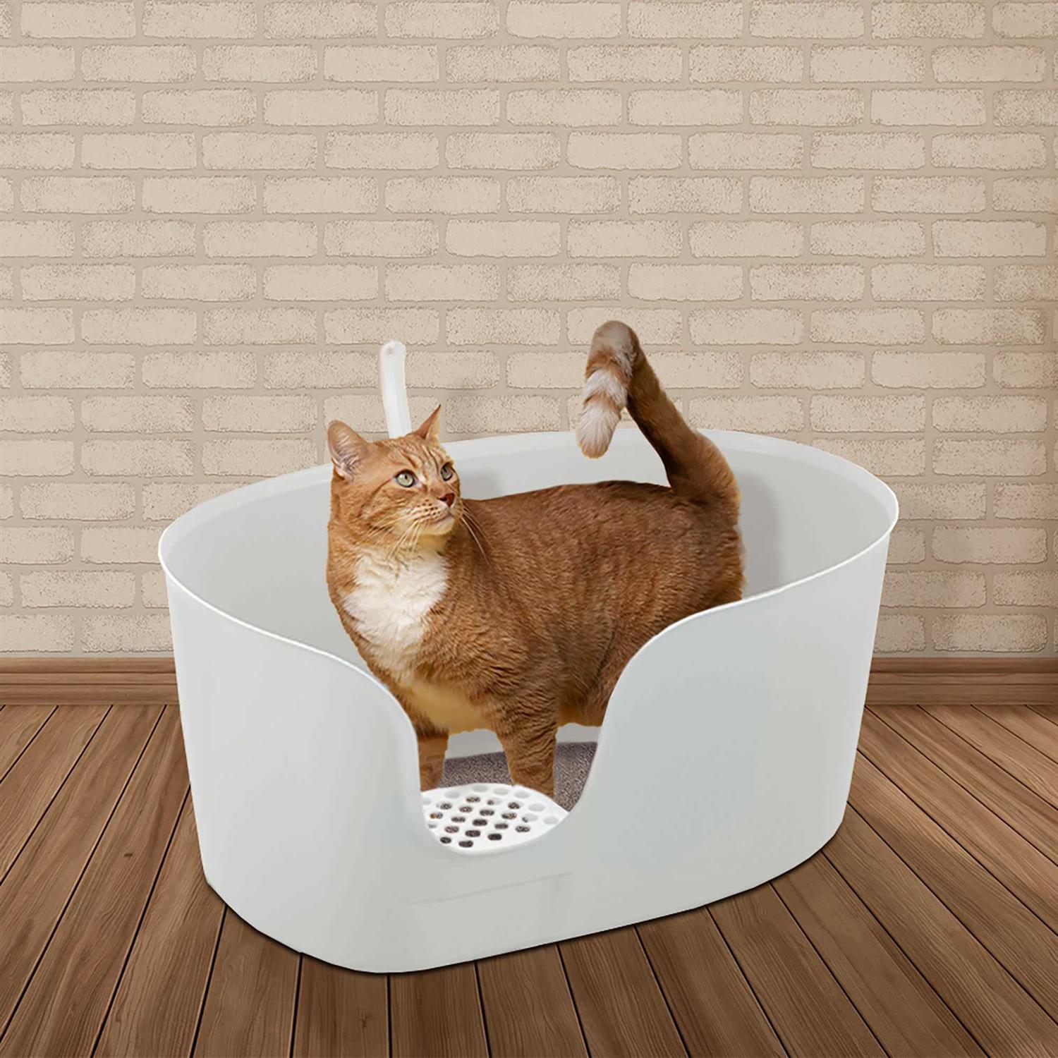 Richell PAW TRAX High Wall Cat Litter Box XL - Healthber