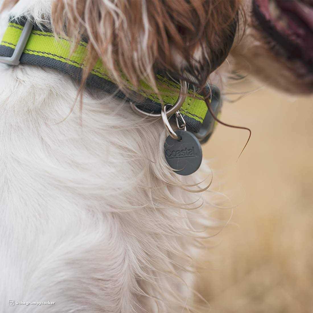 Coastal EZ Change Dog ID Clip - Healthber