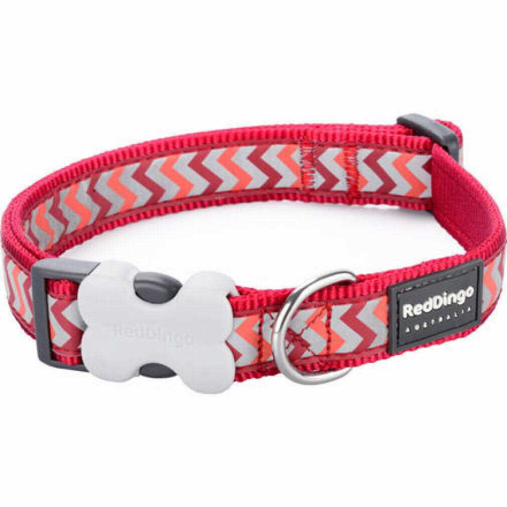 Red Dingo Dog Collar - Healthber