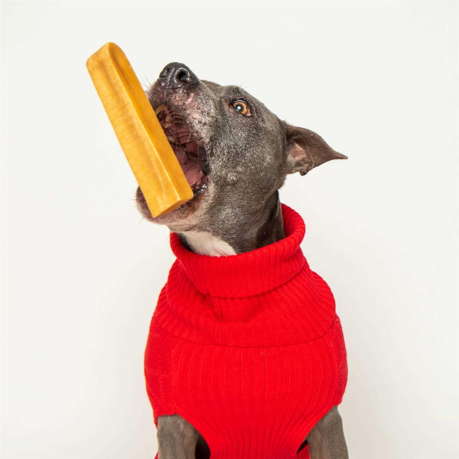 Best Bully Sticks Himalayan Golden Yak Cheese Chews Mixed Pack Dog Treats - Healthber