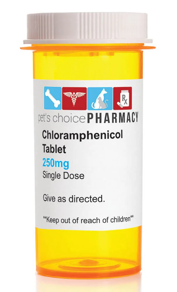 Rx Chloramphenicol (Generic) Tablets for Dogs - Healthber