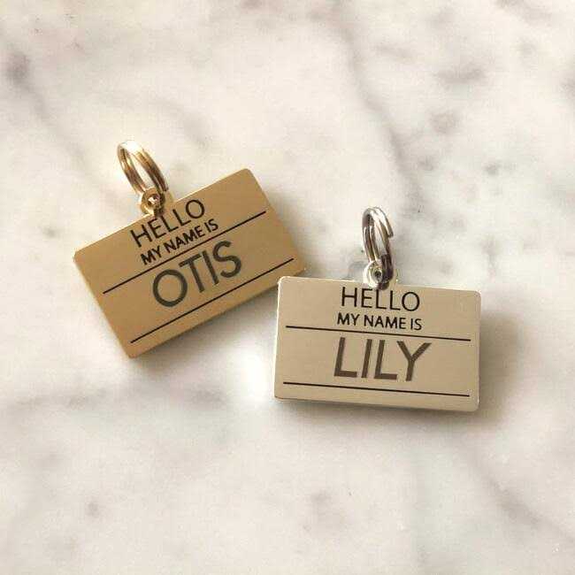 Two Tails Pet Company Hello My Name is ID Tag - Healthber