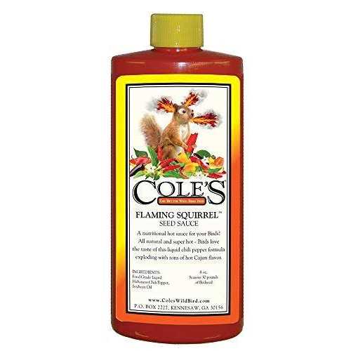 Cole’s Wild Bird Products Fs08 Flaming Squirrel Seed Sauce - Healthber