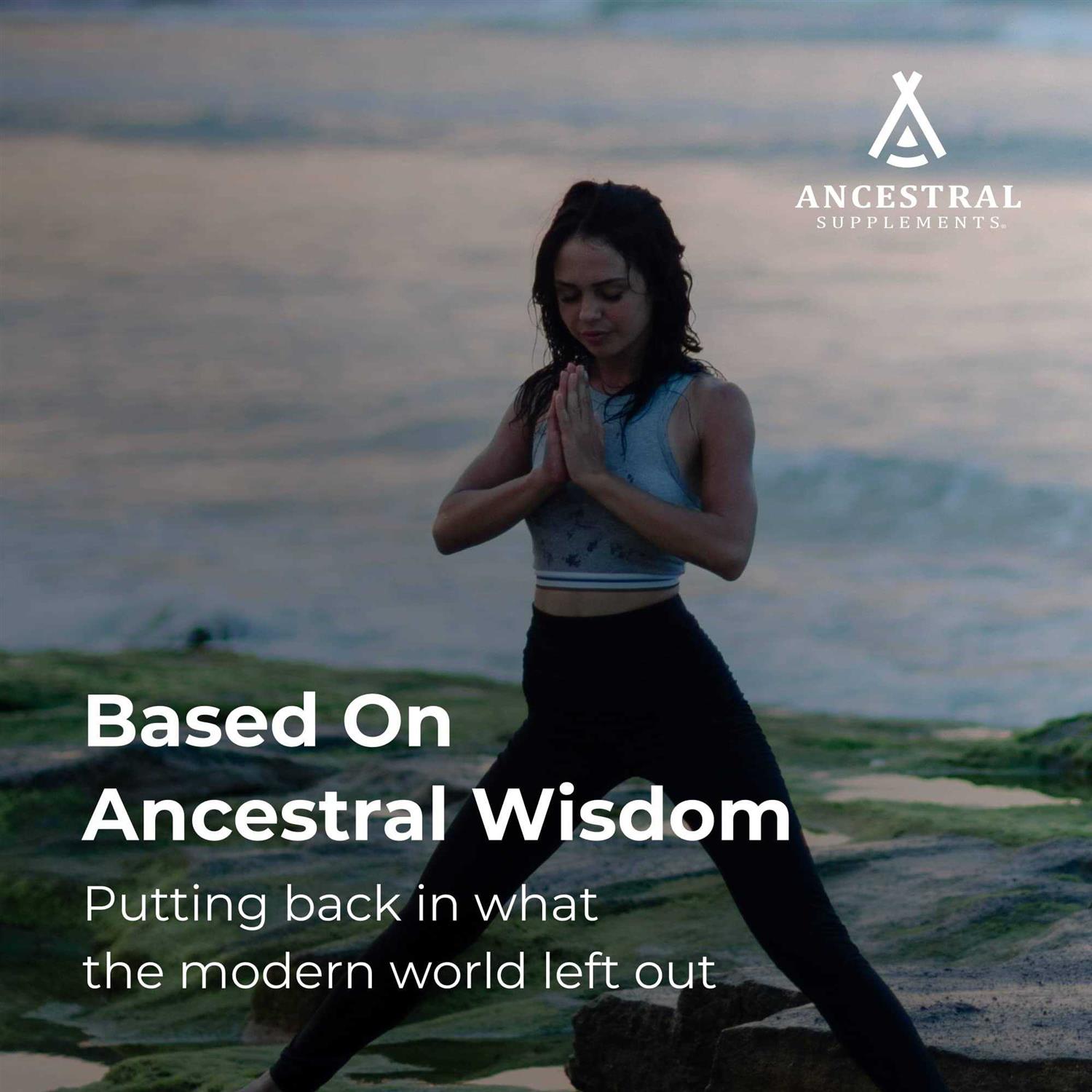Ancestral Supplements Grass Fed Beef Bone and Marrow Supplement - Healthber