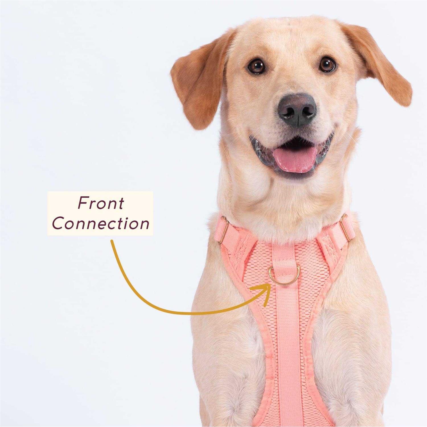 Awoo Huggie Harness - Healthber