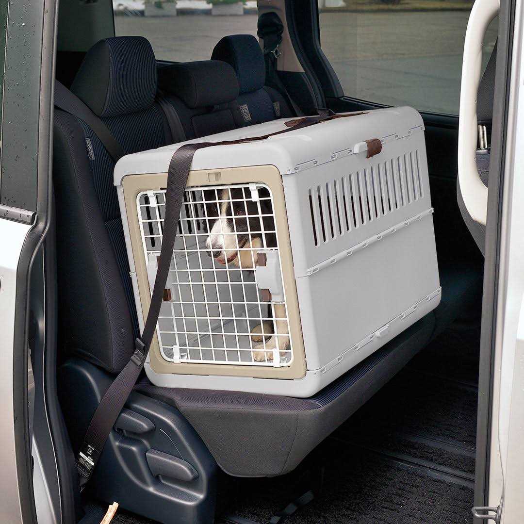 Richell Foldable Pet Carrier - Healthber