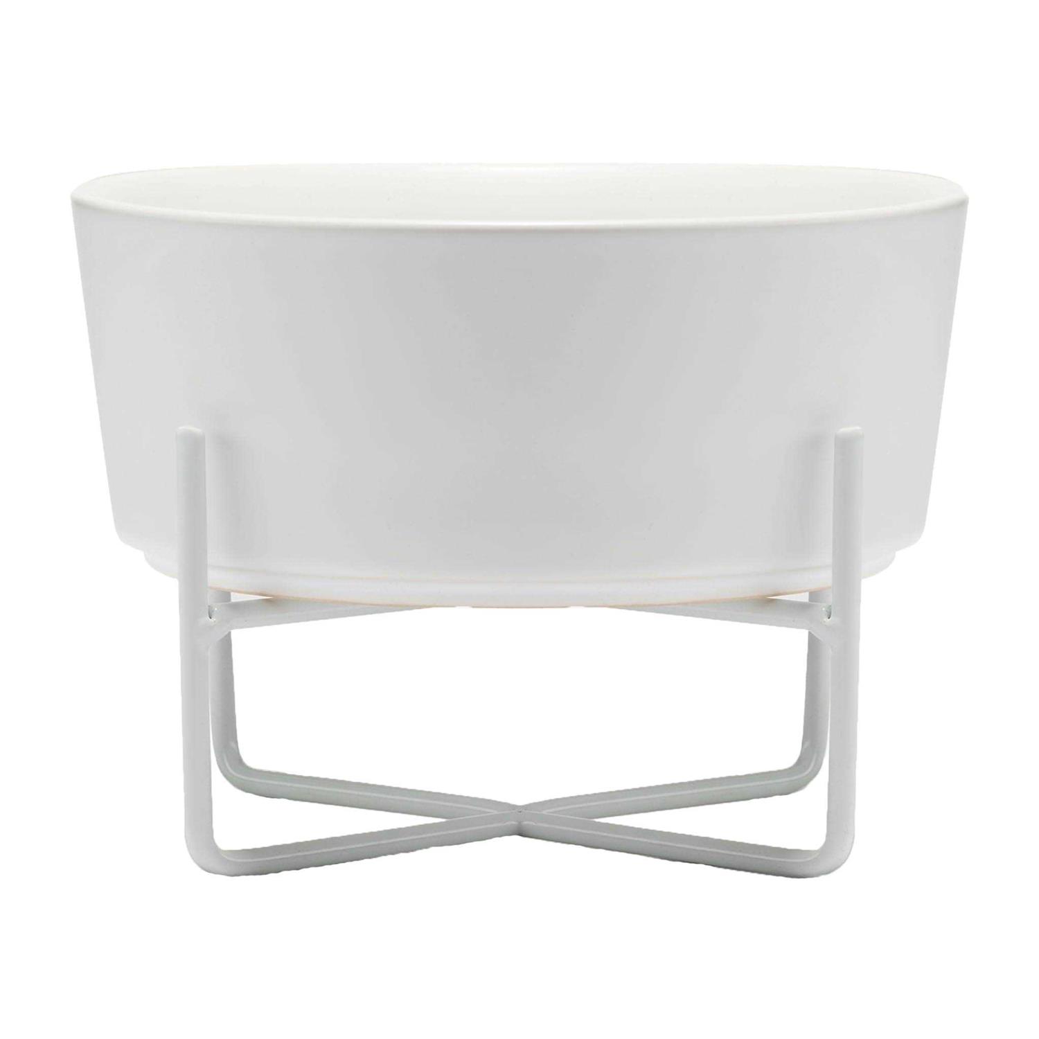 Waggo Simple Solid Bowl + Dog Bowl Stand - Healthber