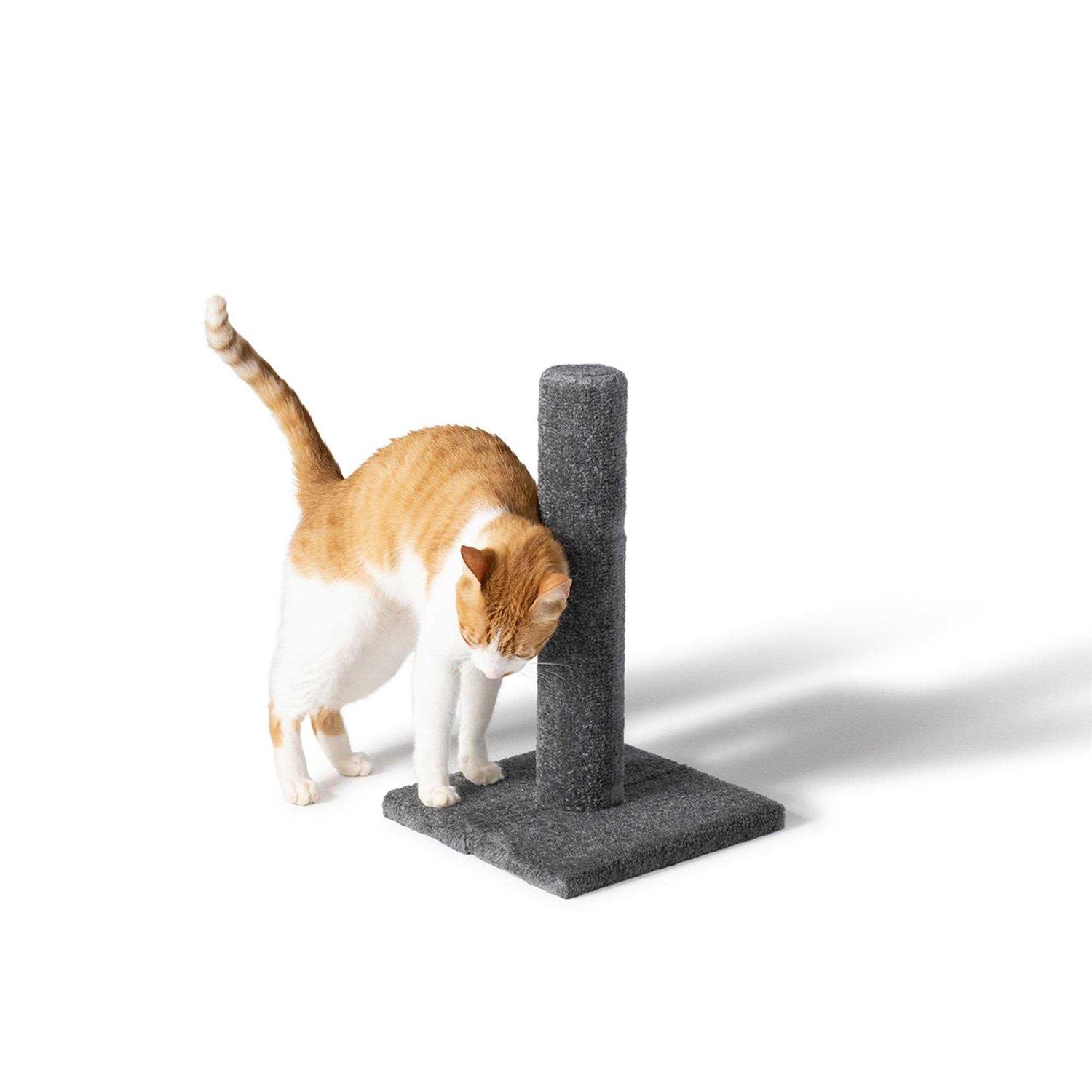 Whisker City 19-in Carpet Scratching Post - Healthber