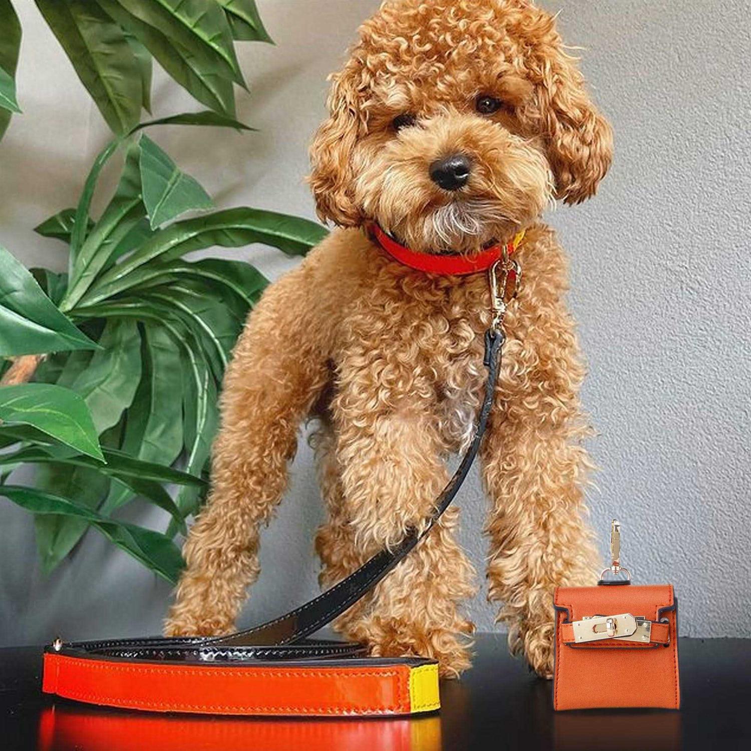 Scotch & Co Mini Barkin Poop Bag Dispenser - Healthber