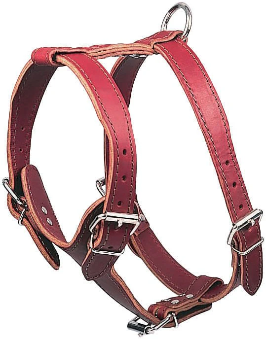 Latigo Leather Medium Harnesses, Plain - Healthber