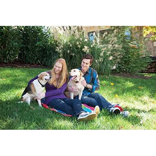 PetSafe Stubborn Dog Stay & Play Wireless Fence Receiver Collar - Healthber