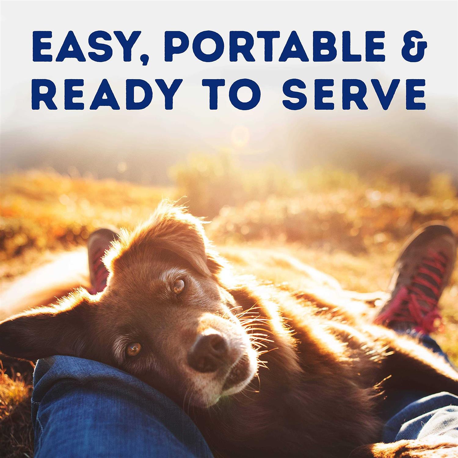 Natural Balance Platefulls Savory Duck & Pumpkin Recipe Wet Dog Food - Healthber