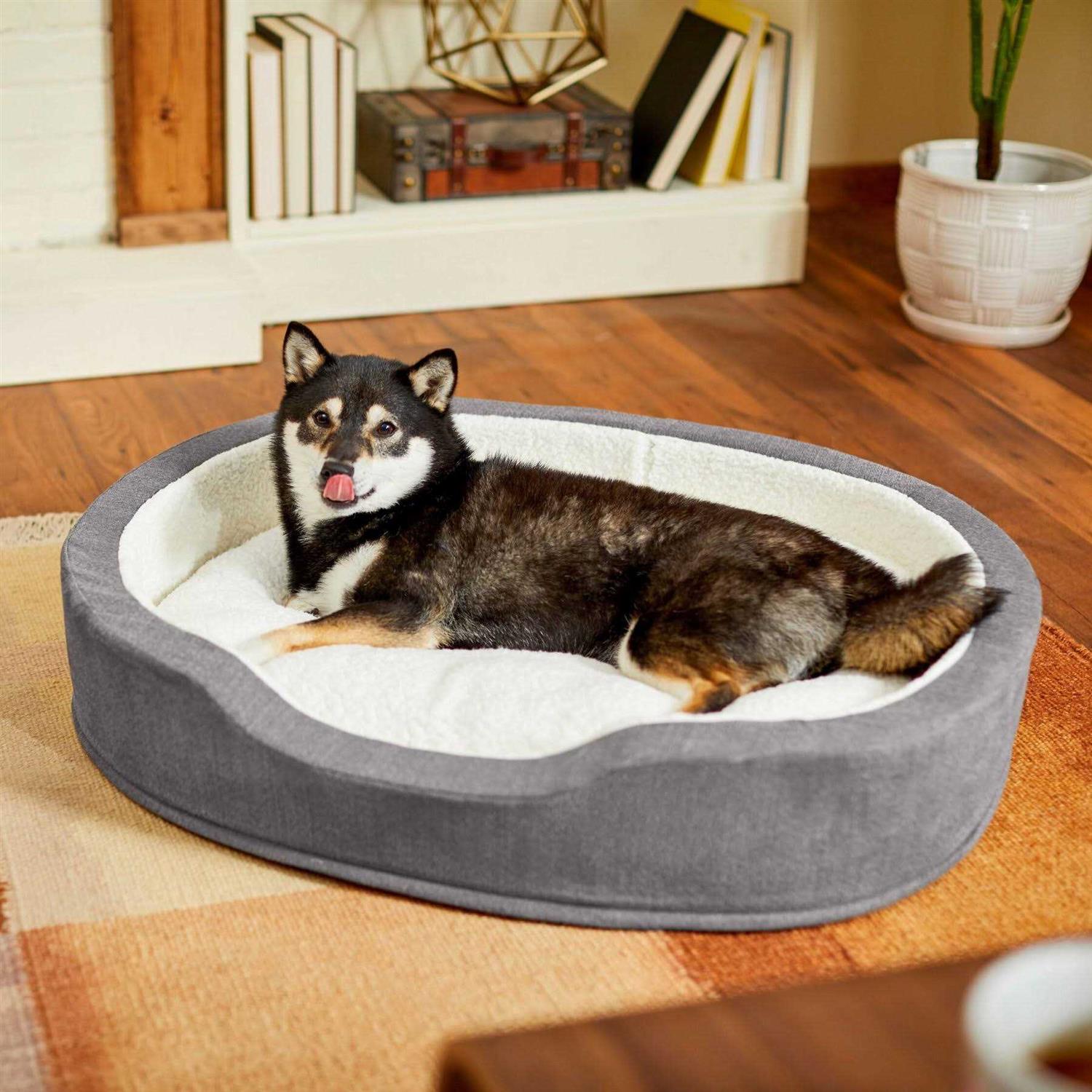 Frisco Bolster Cat Dog Bed - Healthber