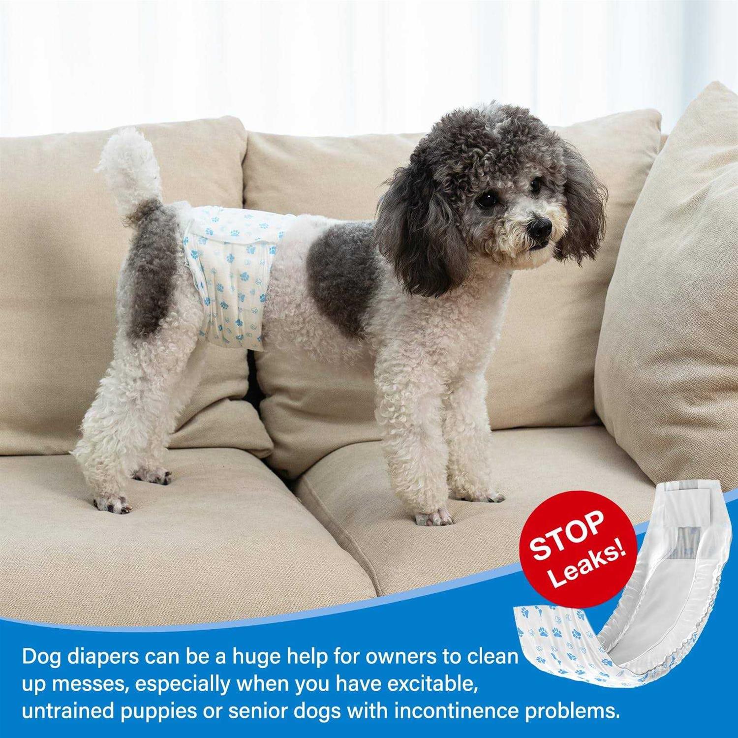 Pet Soft Disposable male Wrap Dog Diaper,12Pcs,M - Healthber