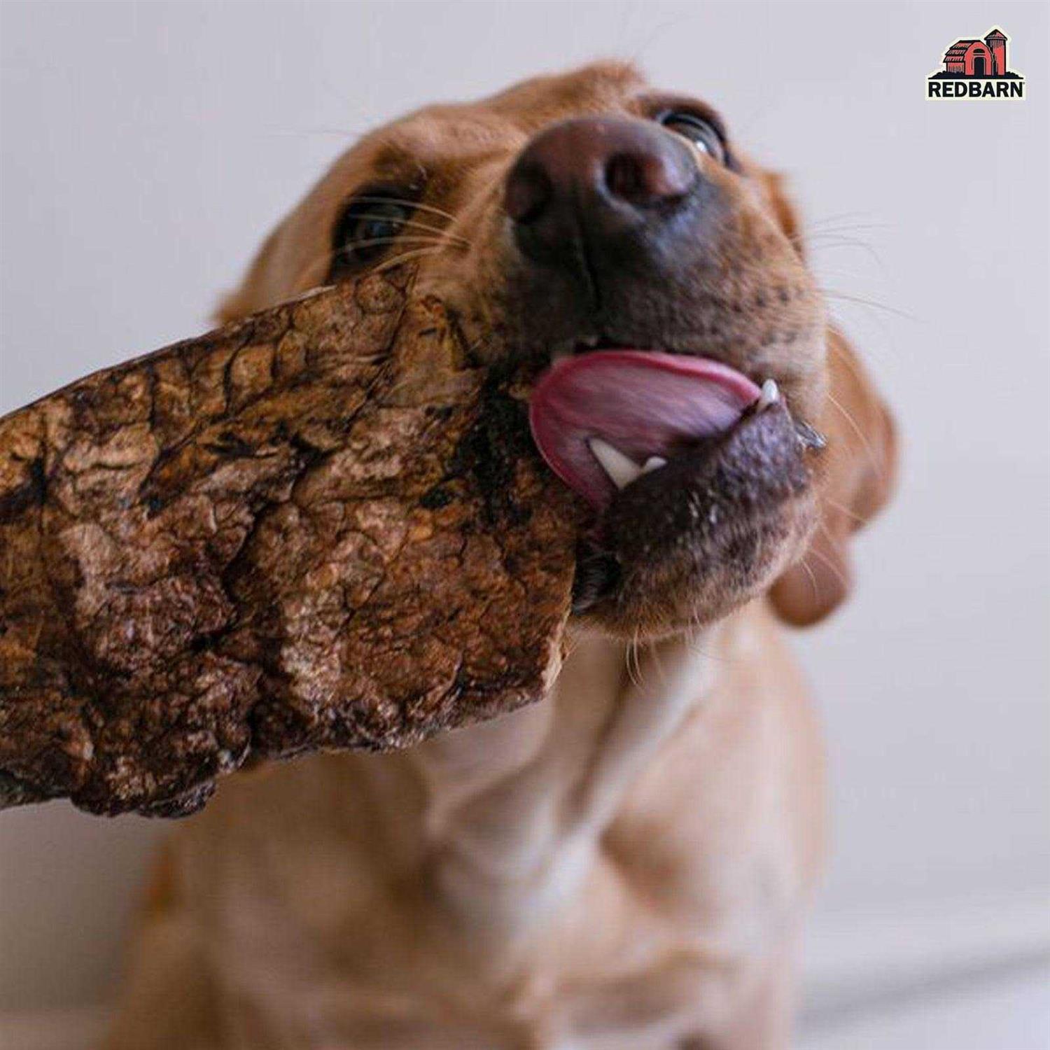 Redbarn Choppers Dog Treats - Healthber