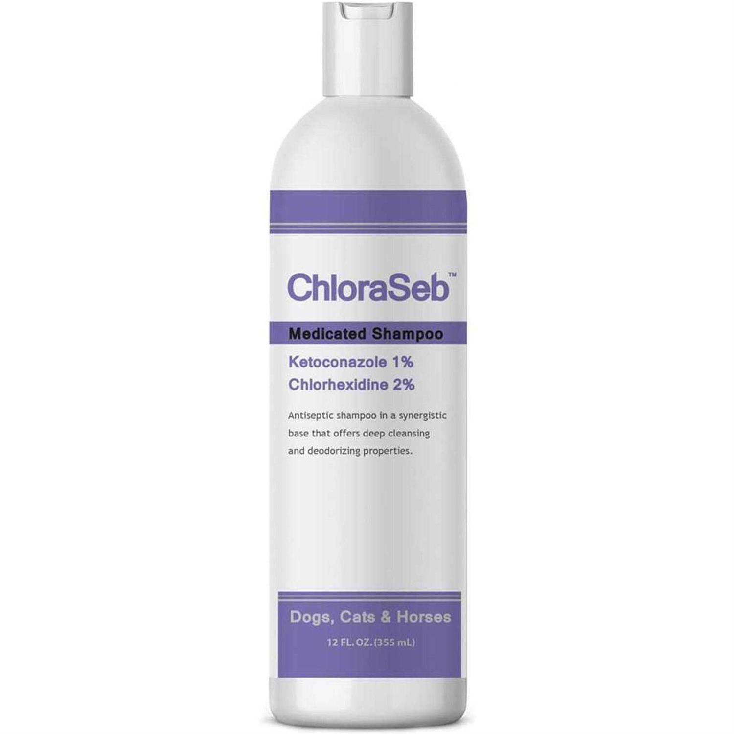 ChloraSeb Antiseptic Dog Shampoo - Healthber