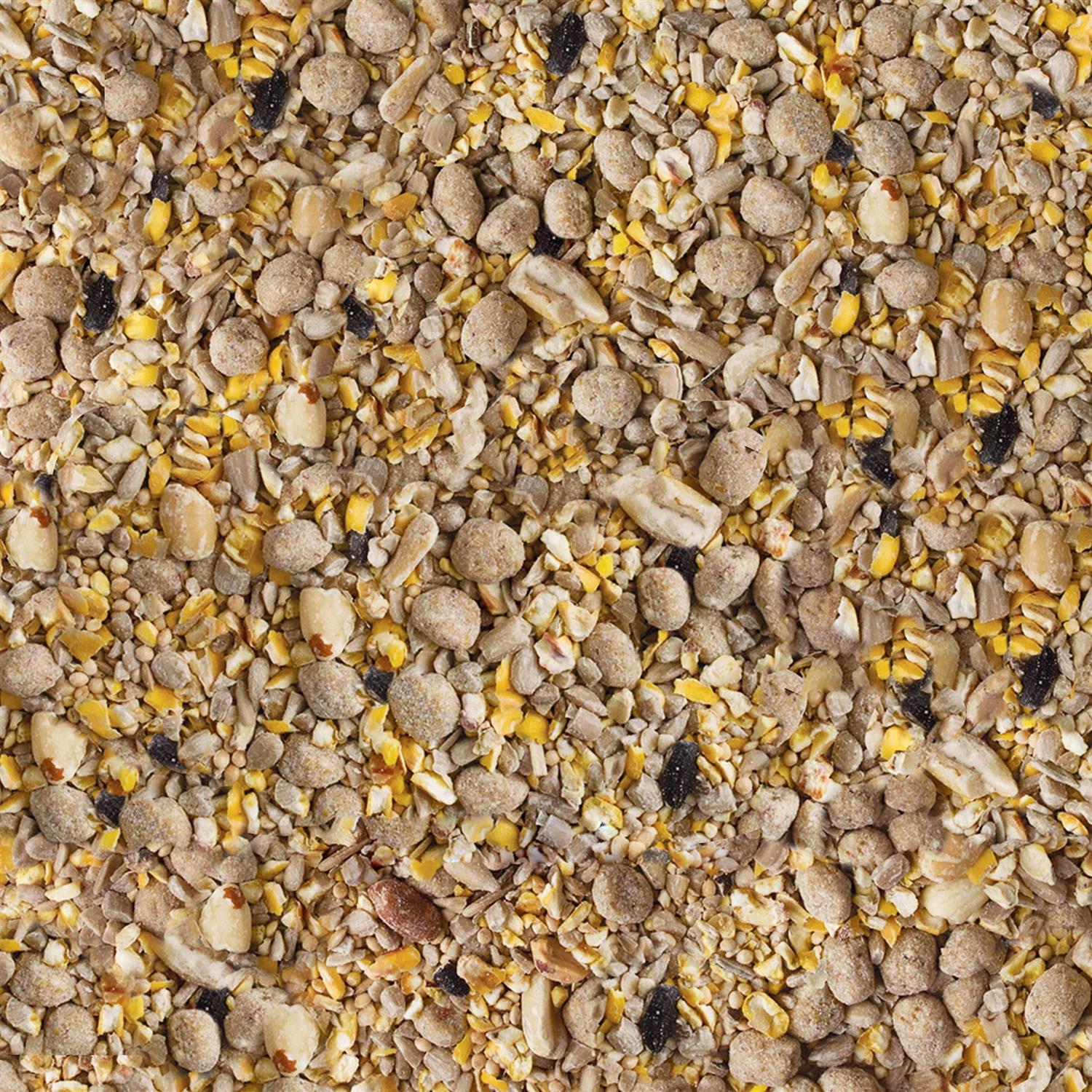 Kaytee Seed & Suet No Mess Bird Food - Healthber