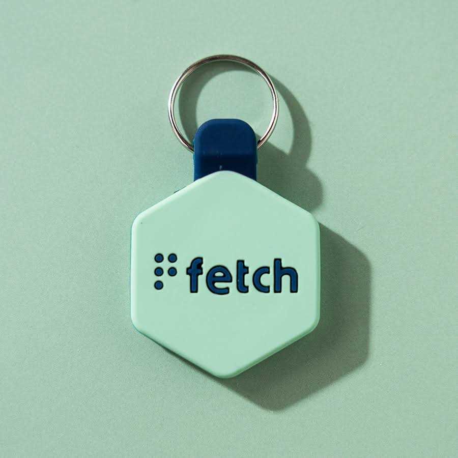 Lifekey Fetch Digital Pet ID Tag - Healthber