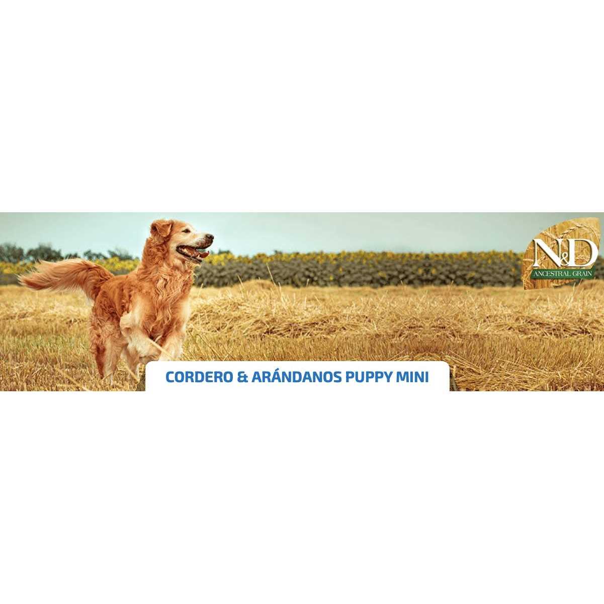 Farmina N&D Ancestral Grain Lamb & Blueberry Mini Adult Dry Dog Food - Healthber