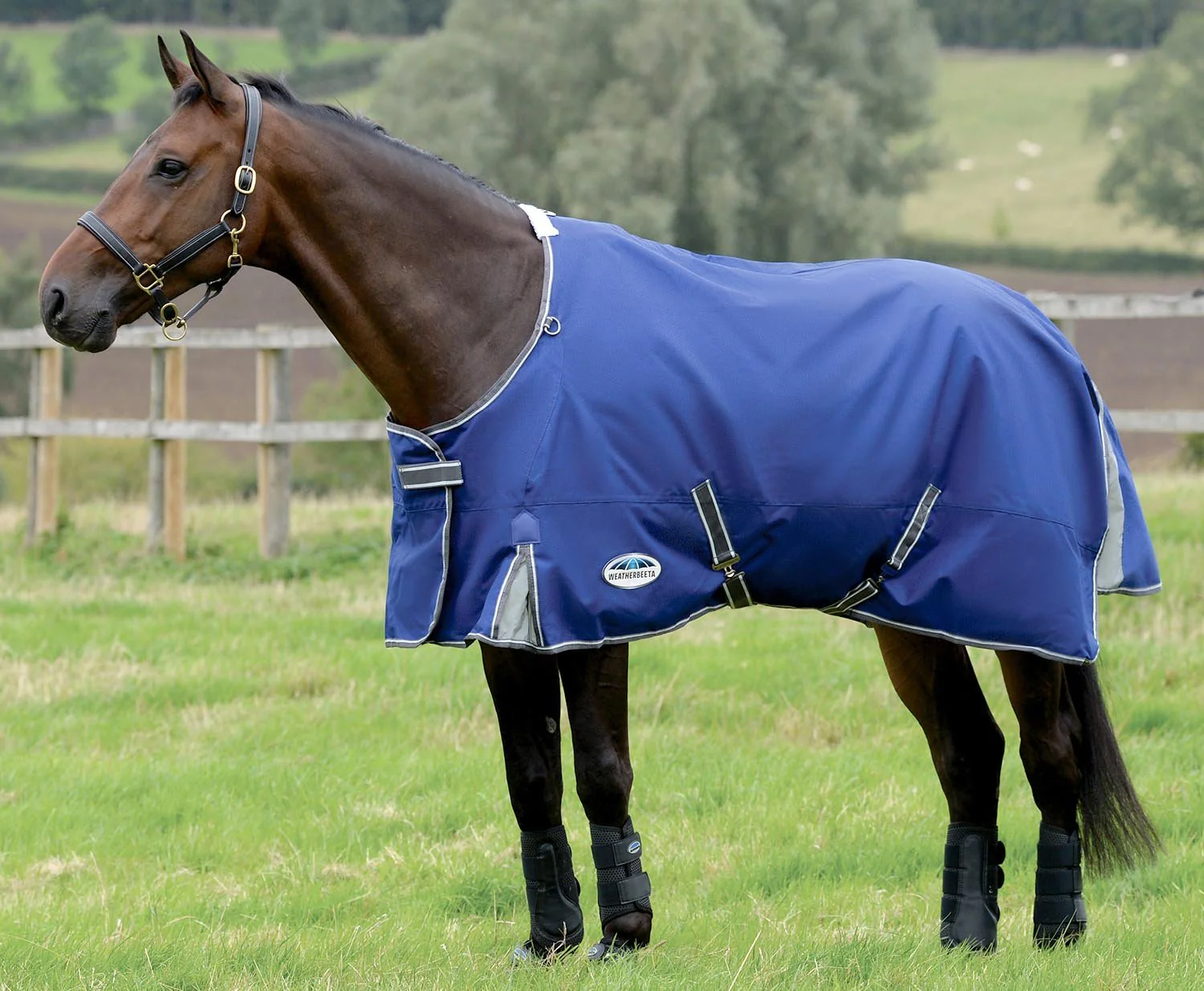 WeatherBeeta ComFITec Premier Free II Standard Neck, Medium, Dark Blue/Grey - Healthber