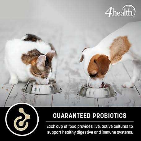 4health Special Care Adult Sensitive Skin Formula Dry Dog Food - Healthber