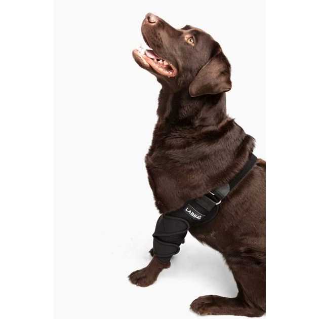 Labra Canine Shoulder Elbow Brace Leg Dog Wrap - Healthber