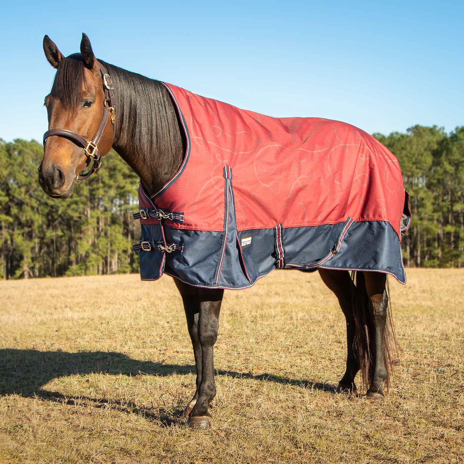 Poplar Head Uniquely English 1200 Denier Turnout Blanket with High Neck, 240 Gram, Merlot Snaffles & Irons - Healthber