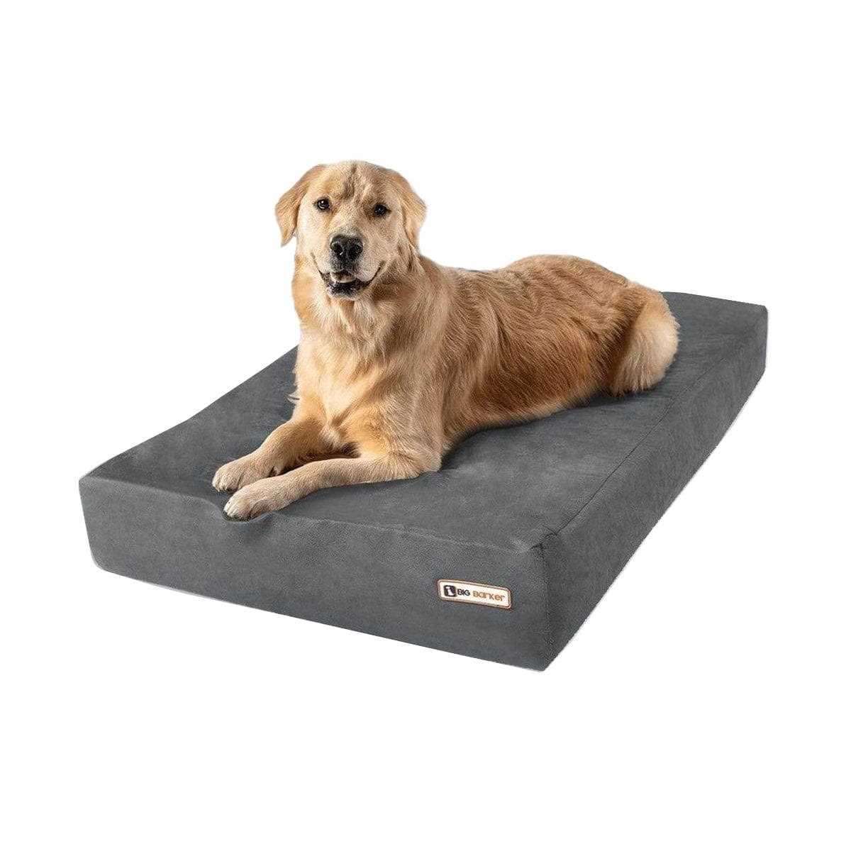 Big Barker Headrest Pillow Top Orthopedic Dog Bed - Healthber
