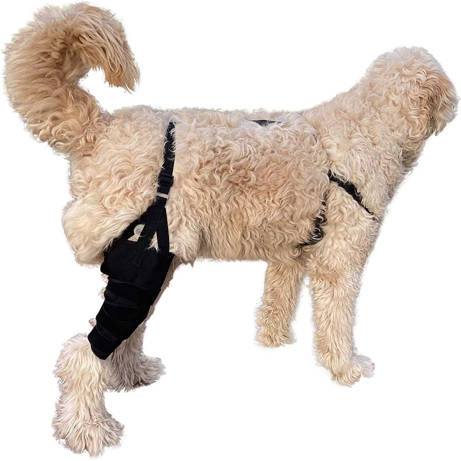 Labra Dog Canine K9 Knee Stifle Brace Wrap Metal Hinged Flexible Support Treat ACL CCL Luxating Patella Cruciate Ligament Sprain Strain Tear Injuries - Healthber