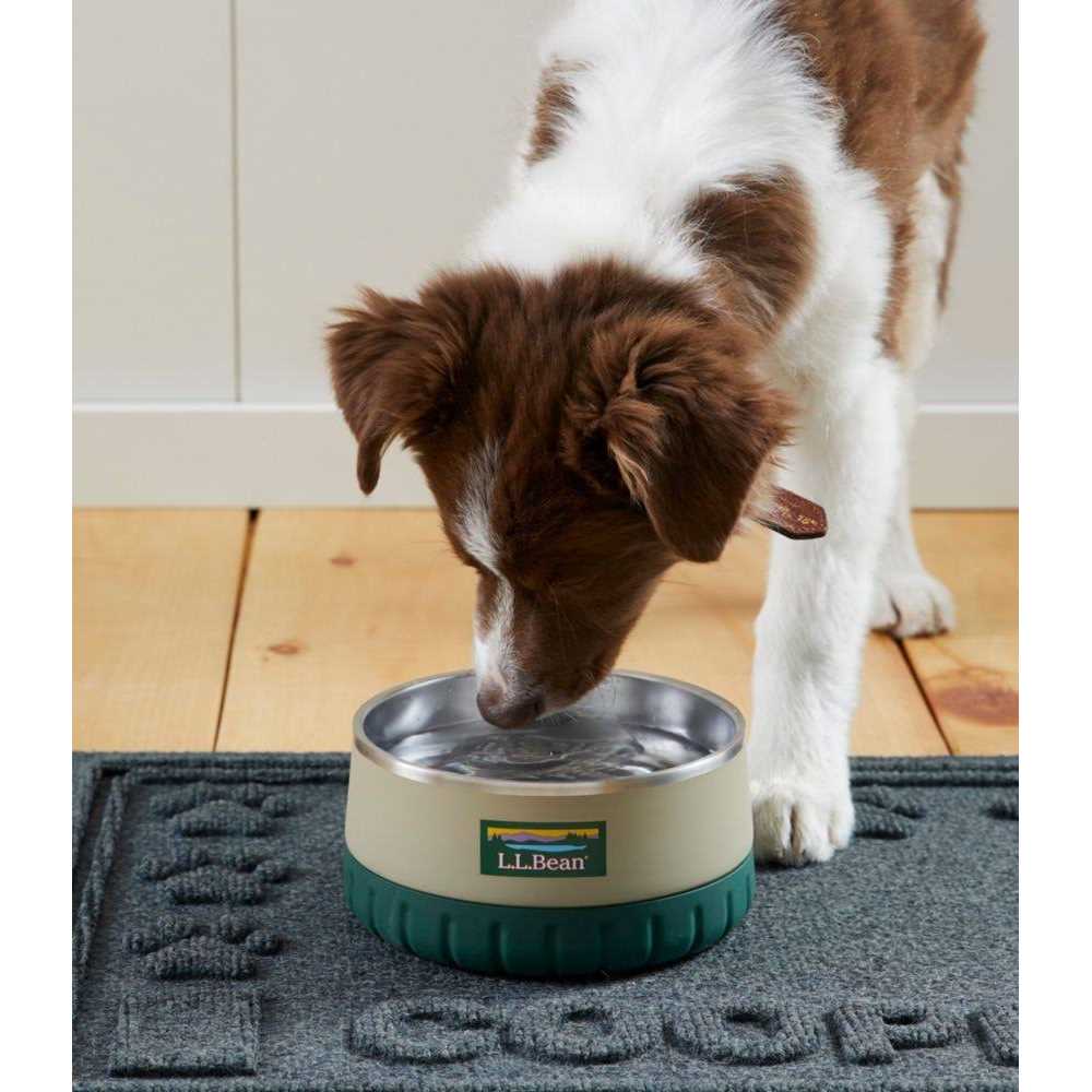 L.L.Bean Insulated Dog Bowl - Healthber