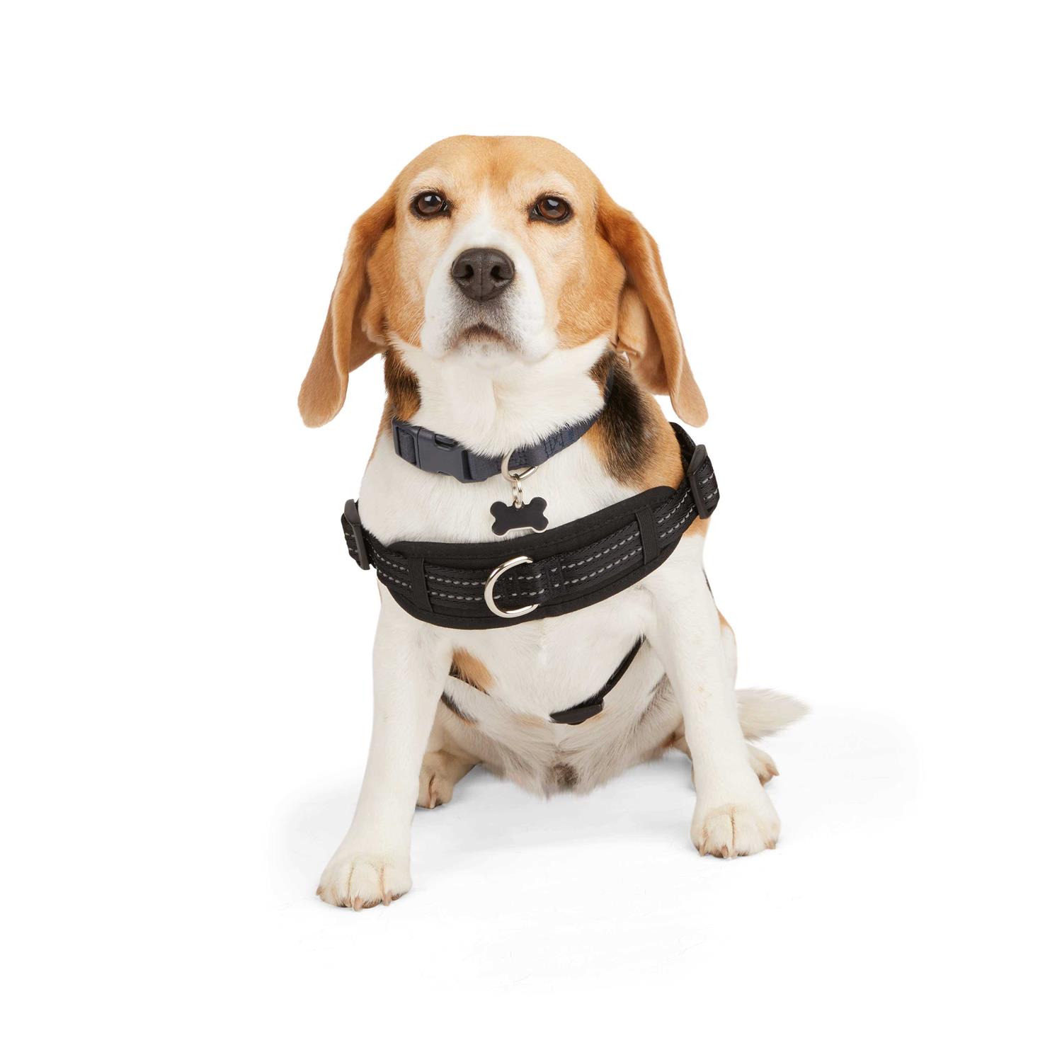 EveryYay Easy On Training Dog Harness - Healthber