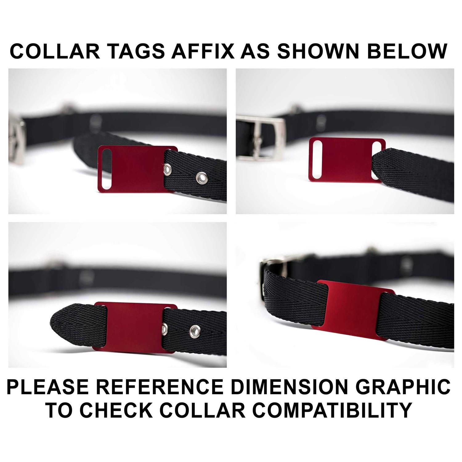 Slide-On Pet ID Tag Collar Tag - Healthber