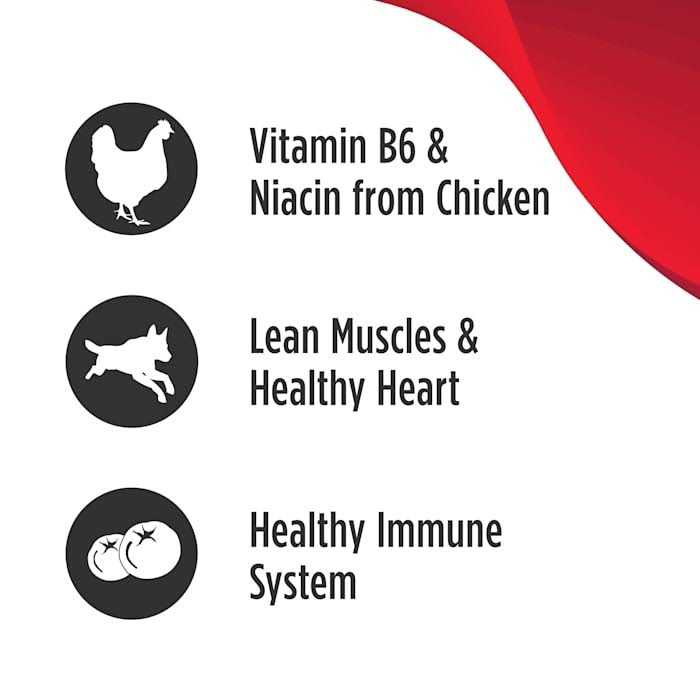 Nulo MedalSeries Adult Dry Dog Food - Healthber