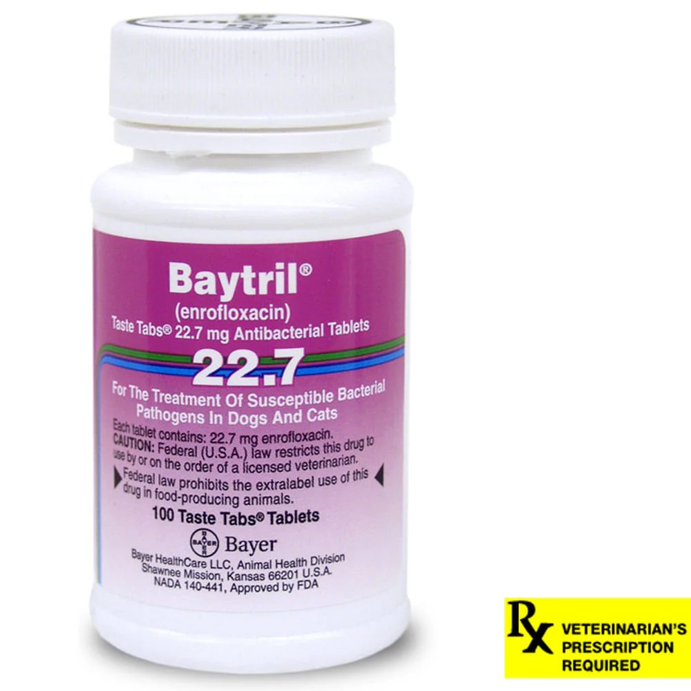 Rx Baytril (enrofloxacin) Coated Tablets for Cats & Dogs - Healthber