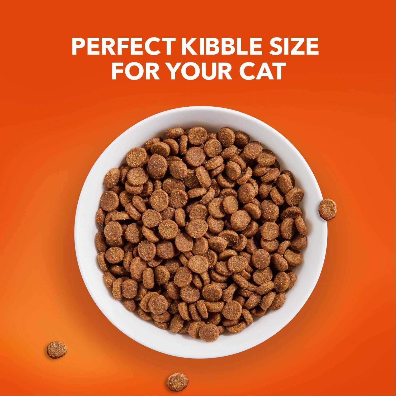 IAMS ProActive Lively Senior Dry Cat Food - Healthber