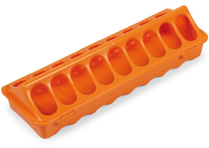 Ground Chicken Feeder, Medium - Healthber