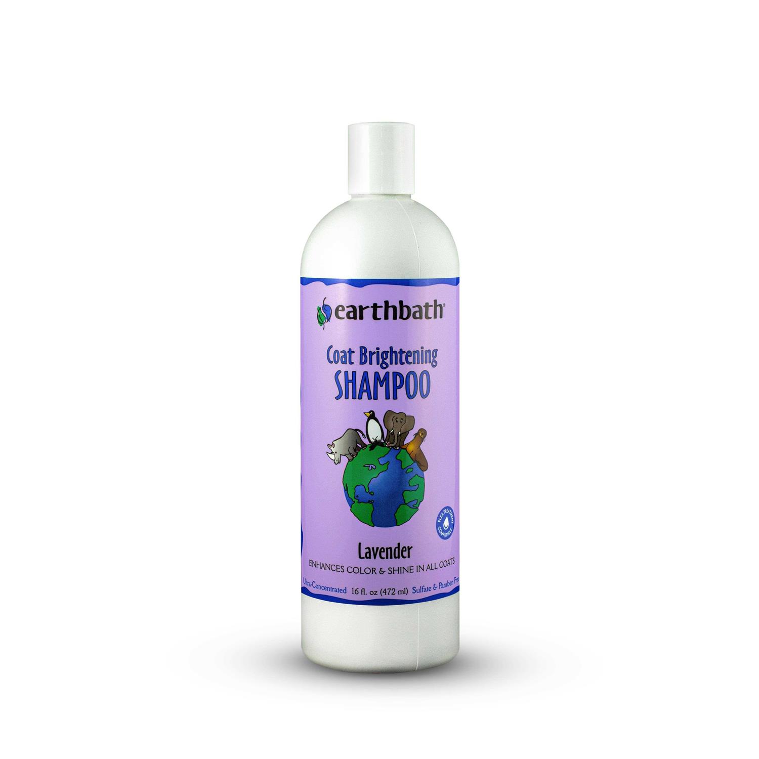 Earthbath Coat Brightening Shampoo - Healthber