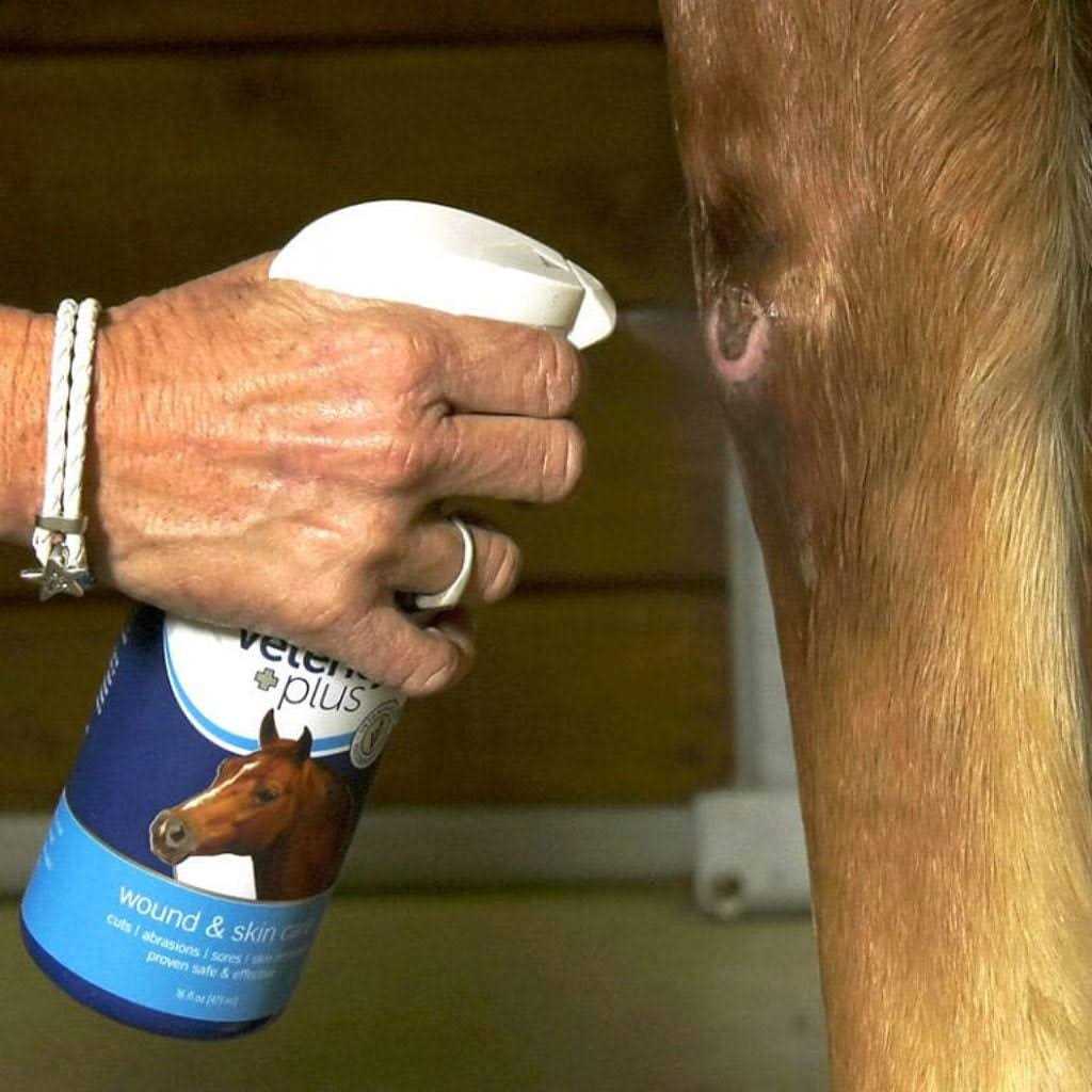 Vetericyn Wound & Skin Care Spray - Healthber