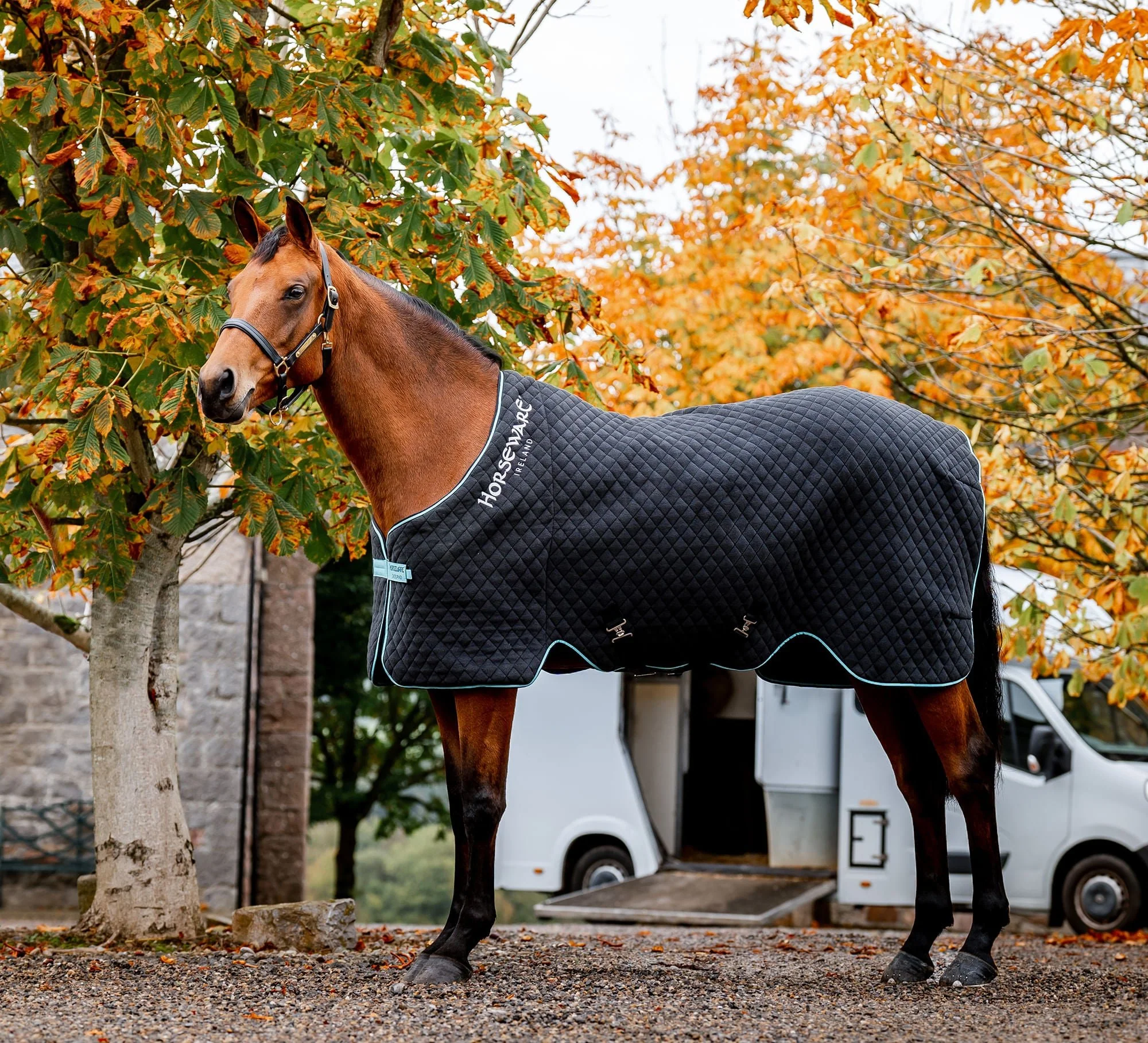 Horseware Autumn Cooler, Black/Aqua - Healthber