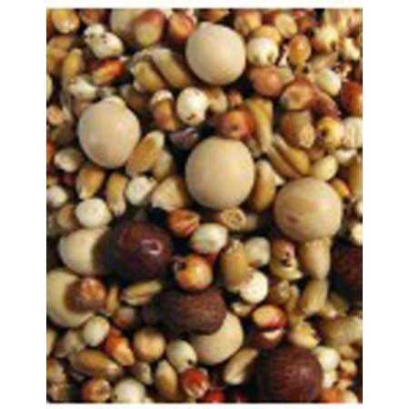 F.M. Browns Breeder Kafir Pigeon Food 50 lb - Healthber
