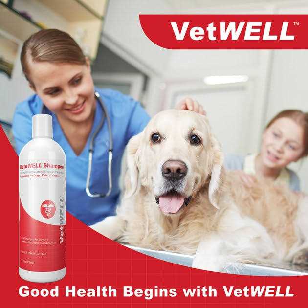 VetWELL KetoWell Antiseptic Dog Cat & Horse Shampoo - Healthber