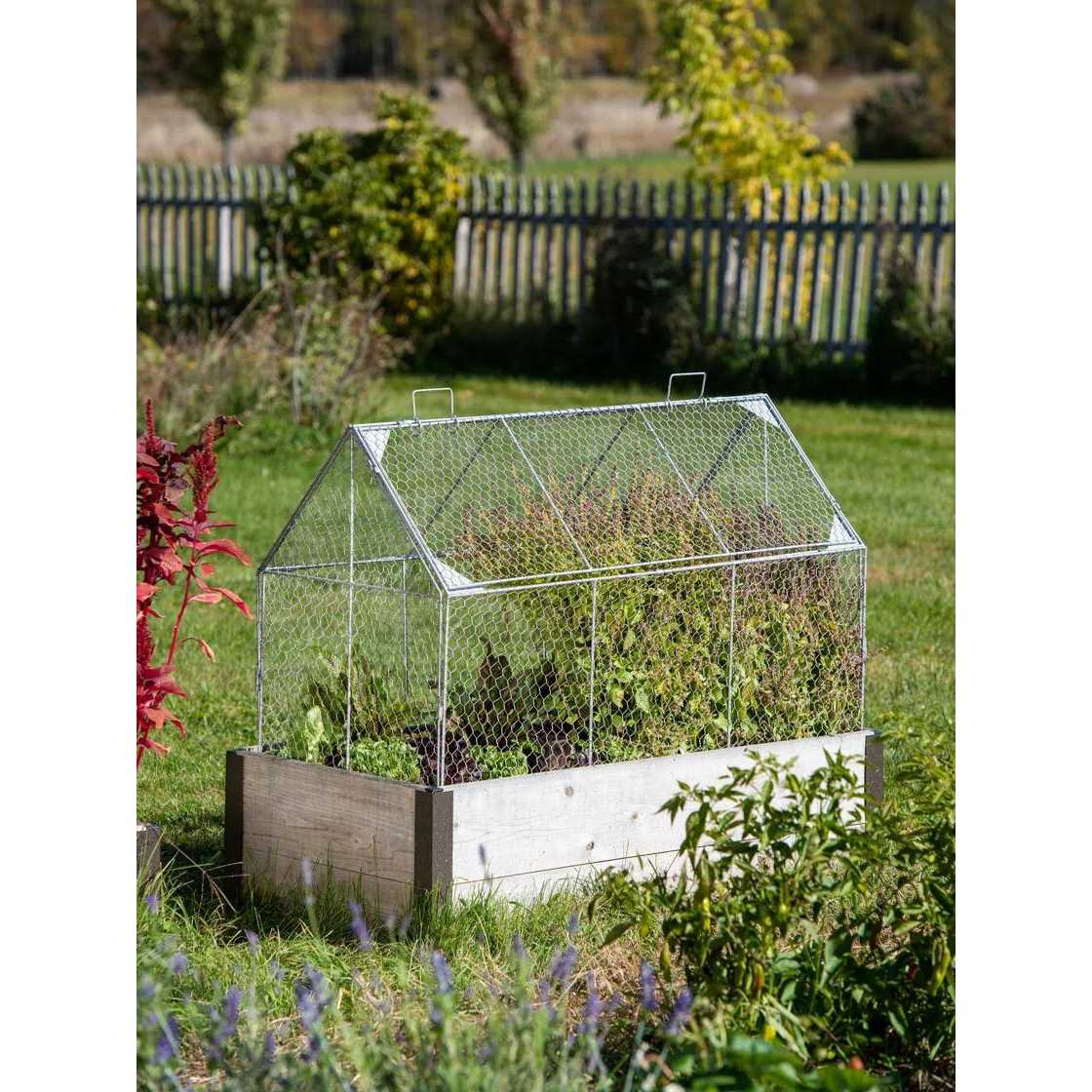 Chicken Wire Crop Coop - Healthber