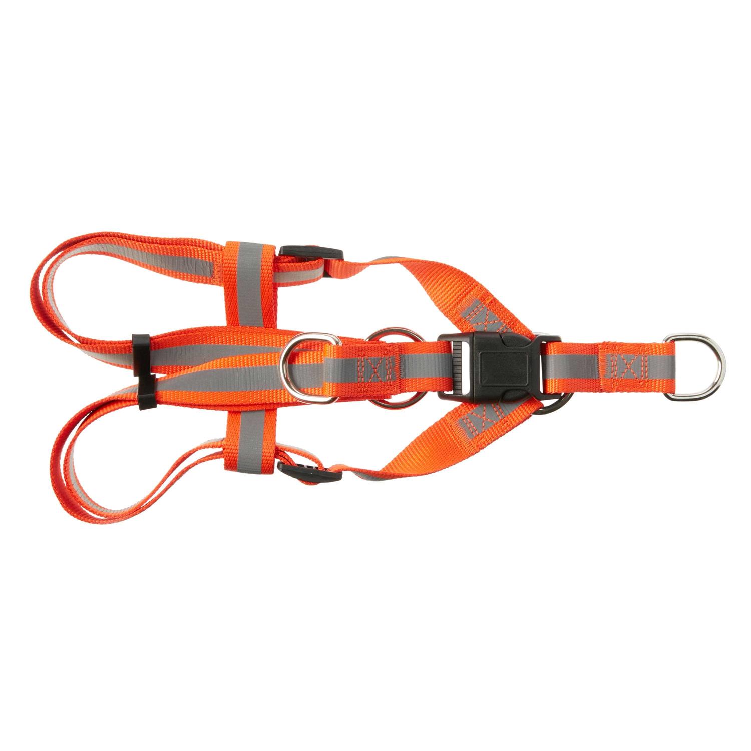 Vibrant Life Step-In Dog Harness - Healthber
