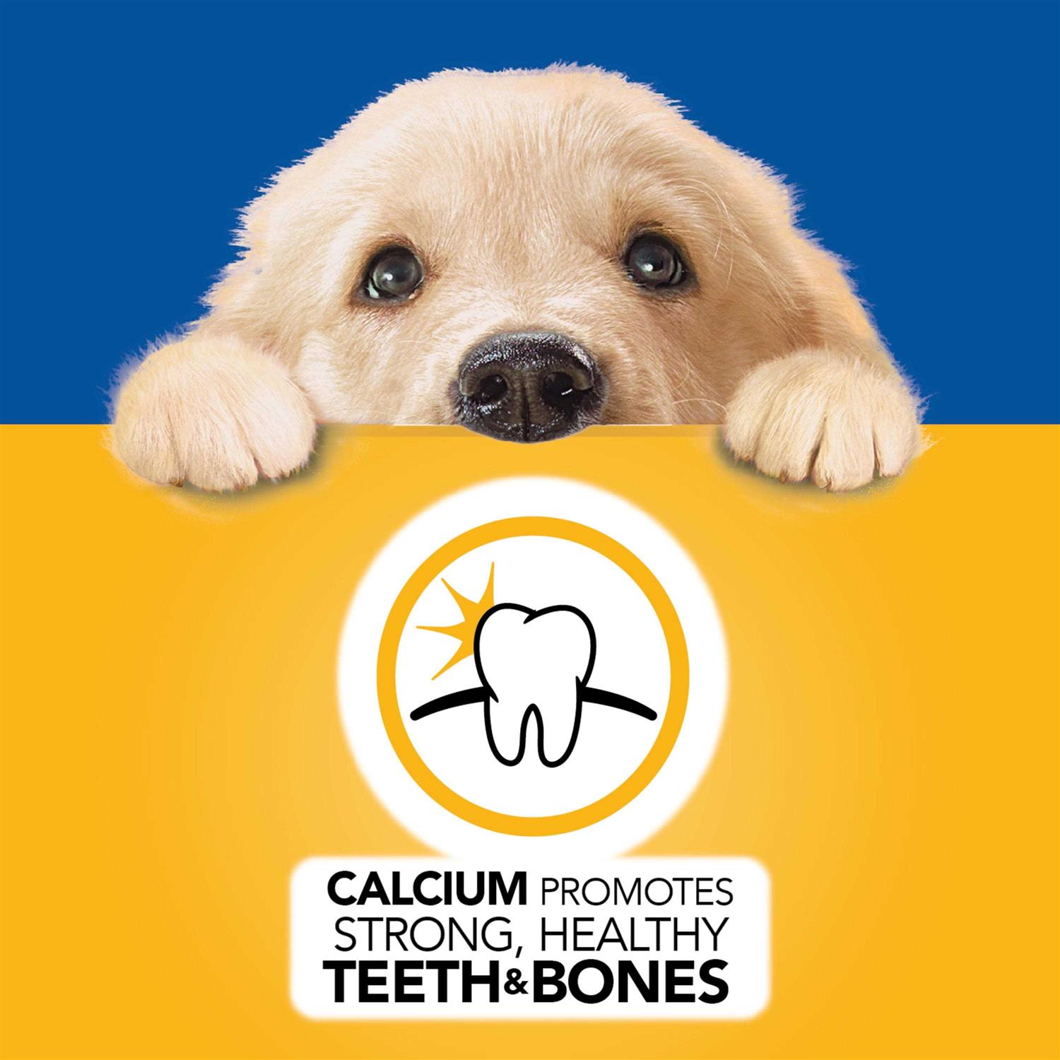 Pedigree Puppy Morsels in Sauce Chicken Wet Dog Food - Healthber