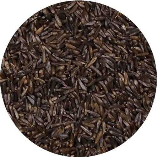 Wagner’s Nyjer Seed Wild Bird Food - Healthber