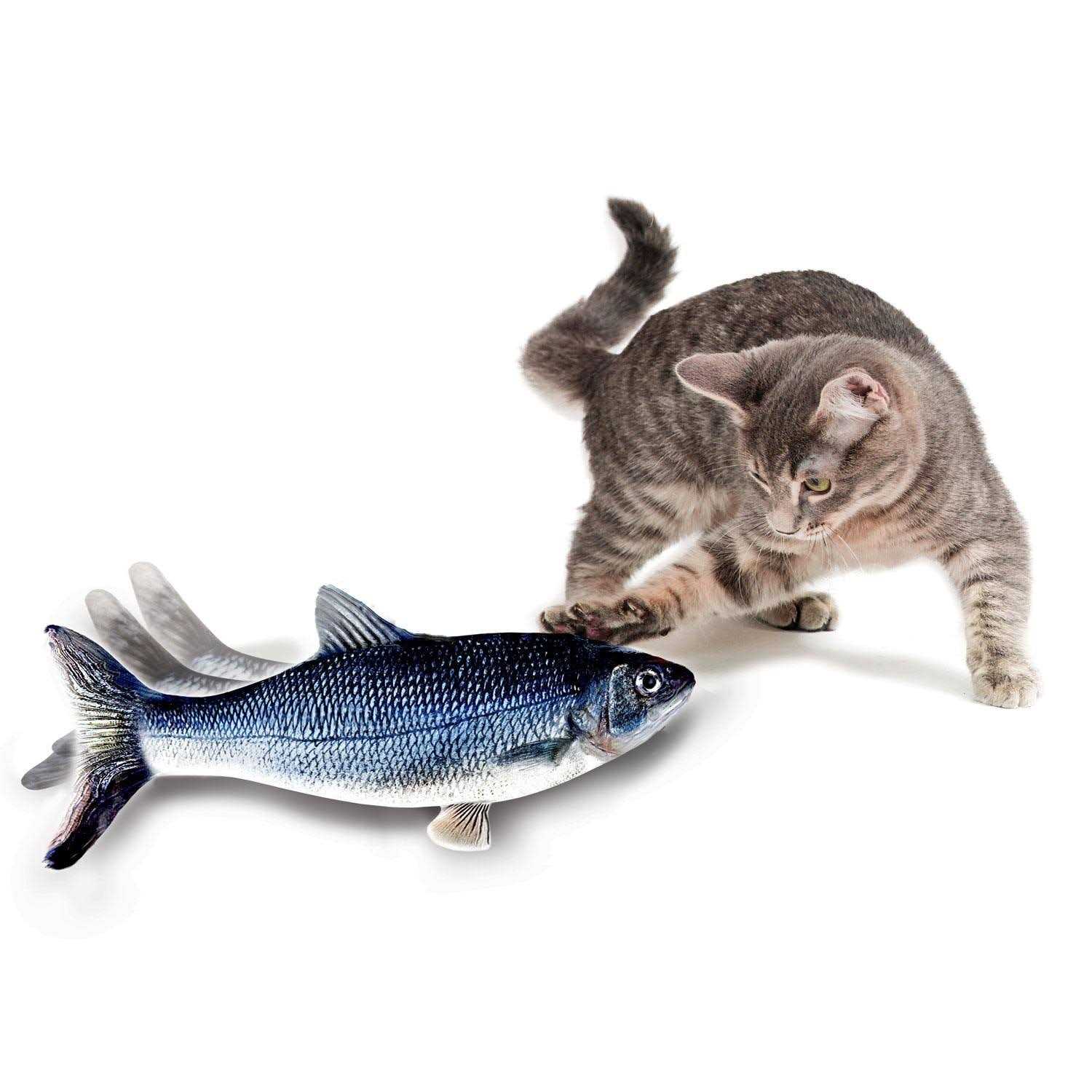 Flippity Fish Cat Toy - Healthber